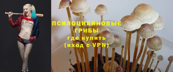 эйфоретик Богородицк