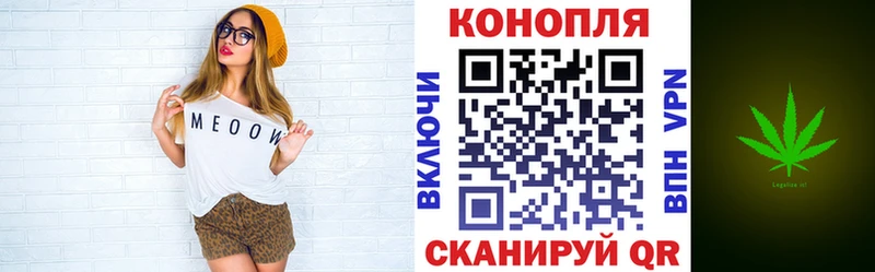 площадка какой сайт  где найти наркотики  Курильск  Бошки марихуана тримм 